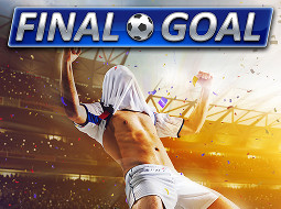 Image Final Goal